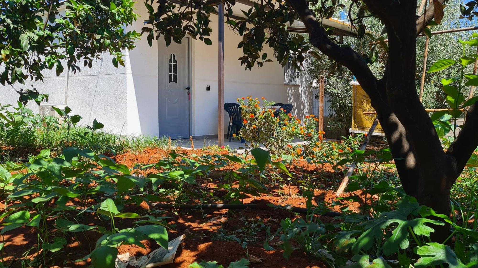 كساميل Villa Reshat Caca المظهر الخارجي الصورة